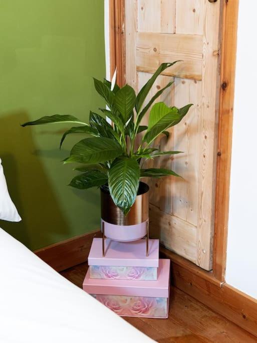 Cosy Cottage In Central Reading Free Parking & Fast Wifi Eksteriør billede